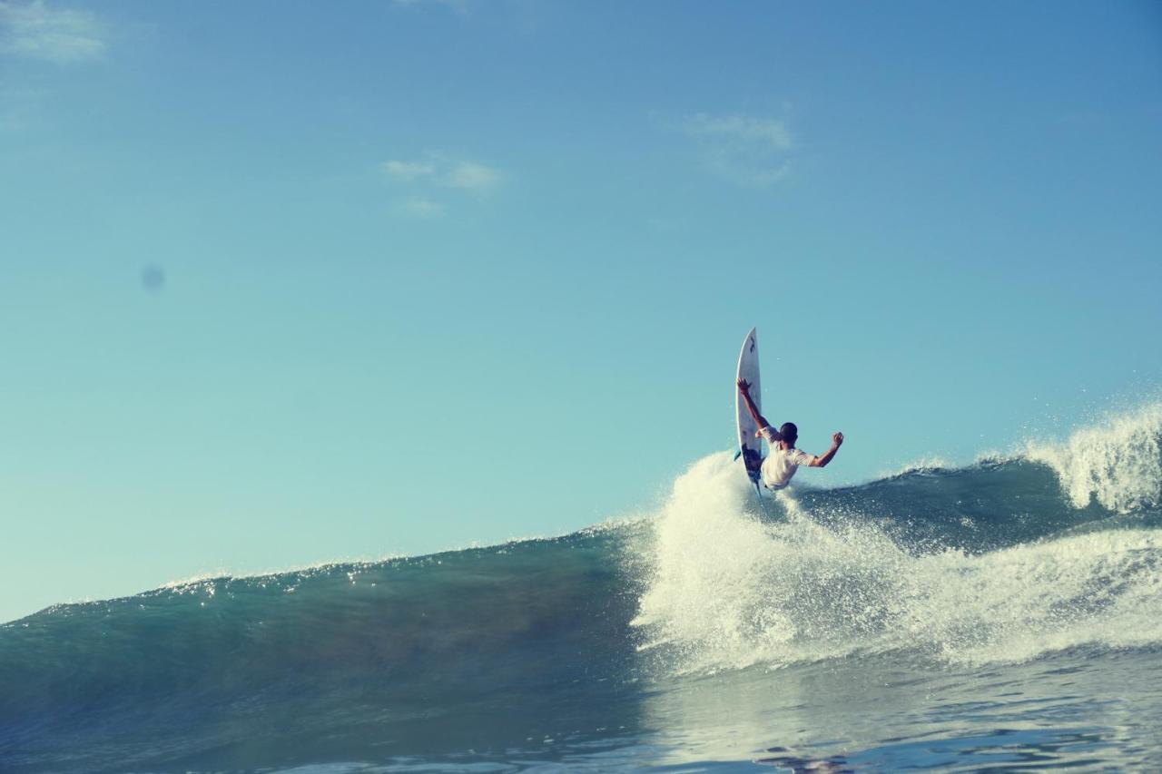 Cocobolo Surf Hotel & School Playa Santa Teresa  외부 사진