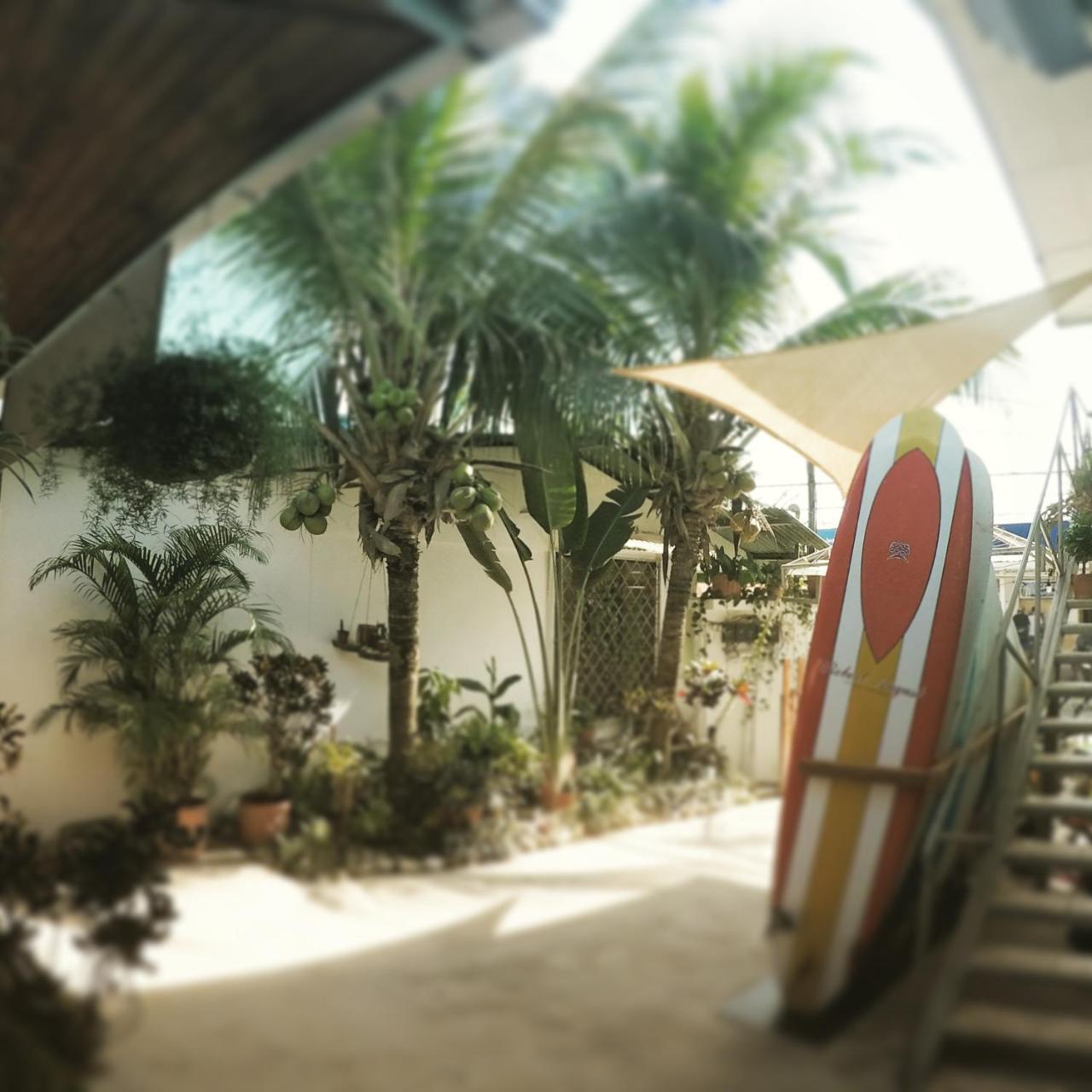 Cocobolo Surf Hotel & School Playa Santa Teresa  외부 사진