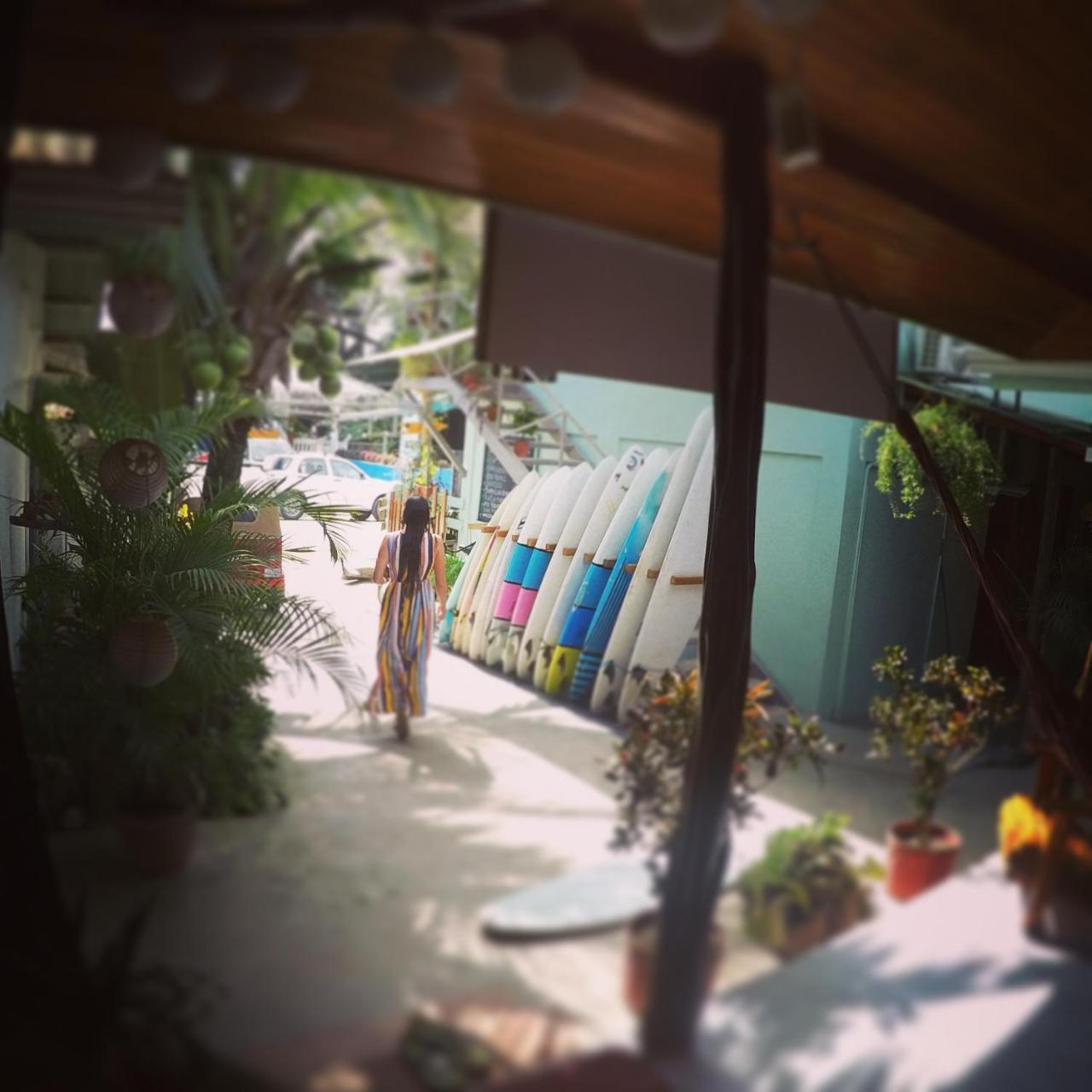 Cocobolo Surf Hotel & School Playa Santa Teresa  외부 사진